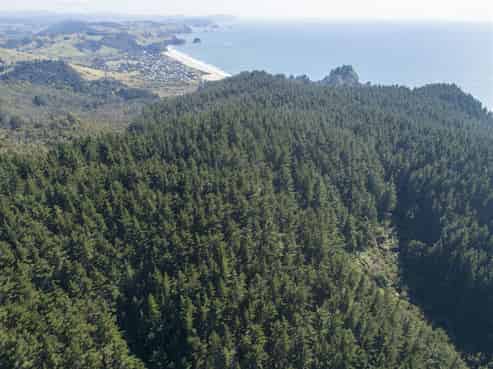 1134 Waihi Whangamata Road, Whiritoa