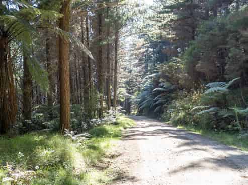 1134 Waihi Whangamata Road, Whiritoa