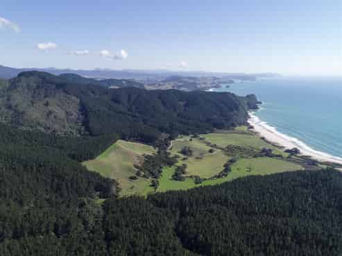 1134 Waihi Whangamata Road, Whiritoa