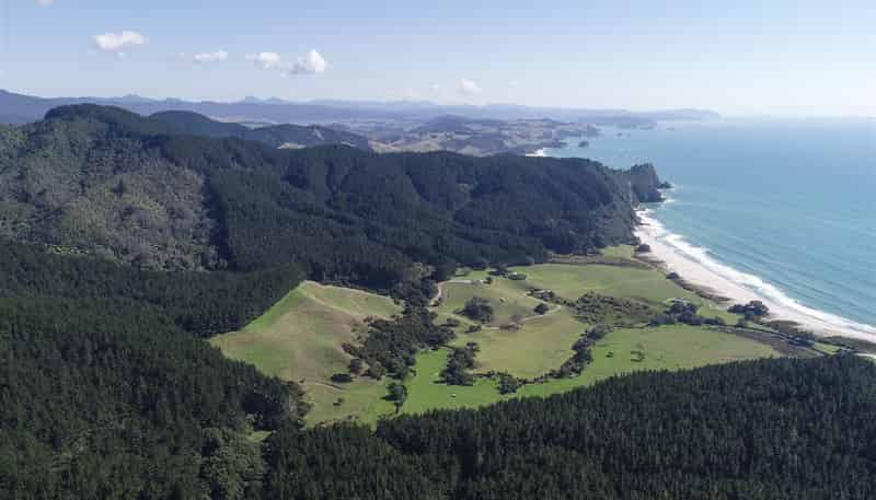 1134 Waihi Whangamata Road, Whiritoa