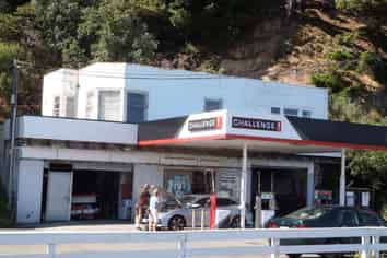 Iconic  Site with holding income to 31 March  2025