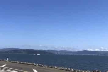 Iconic  Site with holding income to 31 March  2025