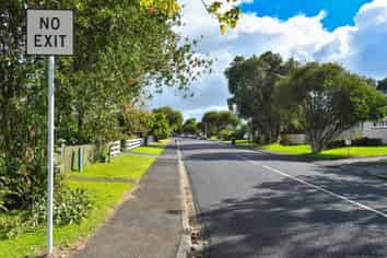 20A Taonui Street, Rosehill