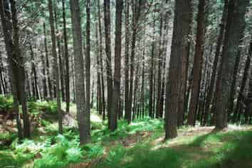  Kotare Road, Nuhaka/Morere