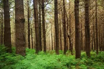  Kotare Road, Nuhaka/Morere