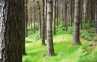  Kotare Road, Nuhaka/Morere