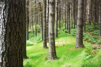  Kotare Road, Nuhaka/Morere