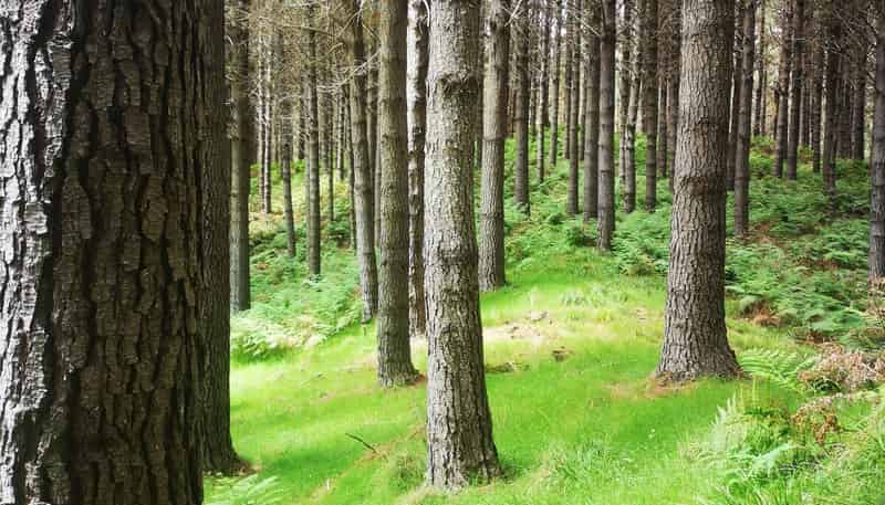  Kotare Road, Nuhaka/Morere