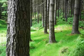  Kotare Road, Nuhaka/Morere