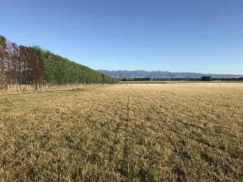 575 East Taratahi Road, Carterton, Carterton