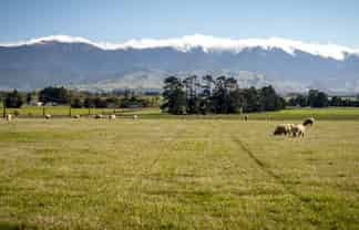 575 East Taratahi Road, Carterton, Carterton