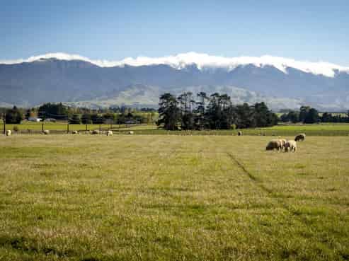 575 East Taratahi Road, Carterton, Carterton