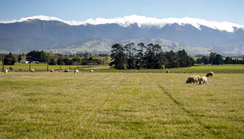 575 East Taratahi Road, Carterton, Carterton