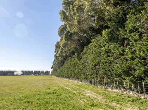 575 East Taratahi Road, Carterton, Carterton