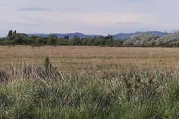 451 Kainga Road, Brooklands