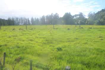  State Highway 67 Sergeants Hill, Westport