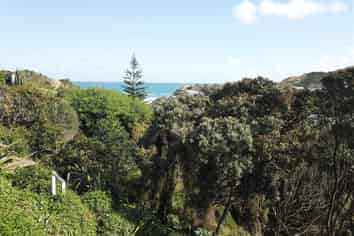 38 Kelly Street, Dargaville Surrounds