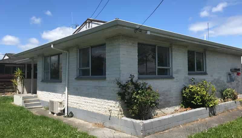 17 Dominion Road, Nawton