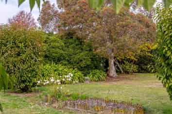 252 Main Street - Section, Greytown