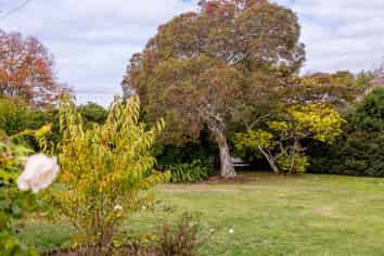 252 Main Street - Section, Greytown