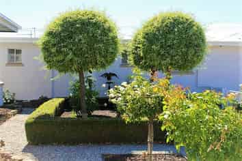 Freehold Going Concern Motel For Sale