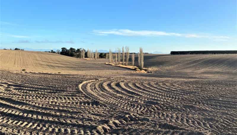 Lot 3 Ellis Road, Pareora