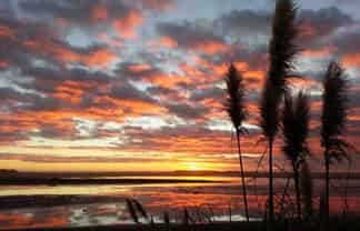 59 Kuku Beach Road, Ohau