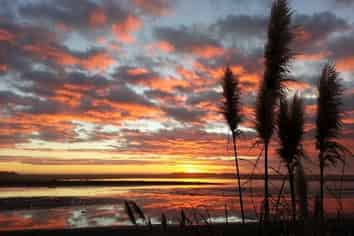 59 Kuku Beach Road, Ohau