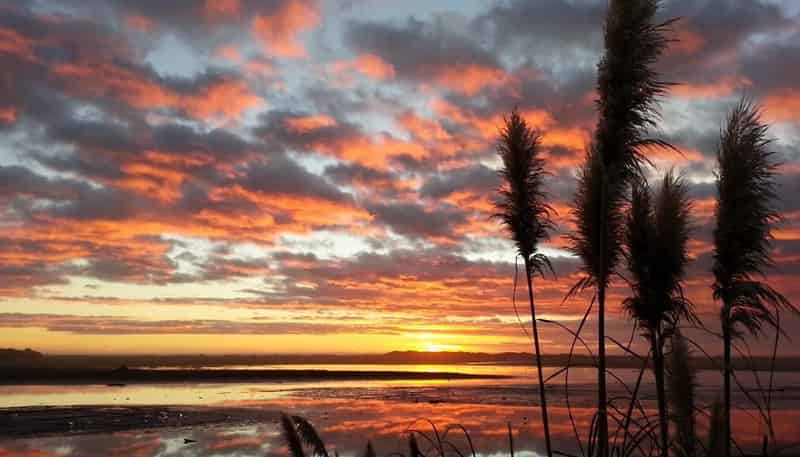 59 Kuku Beach Road, Ohau