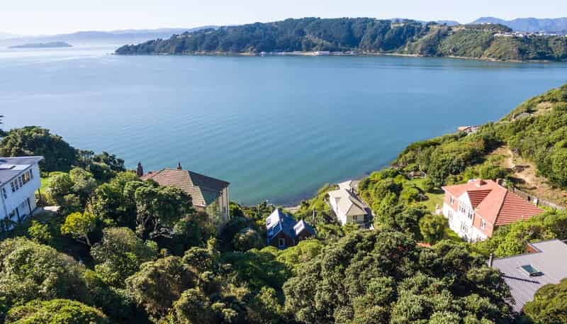 113A and 1 Grafton Road, Roseneath