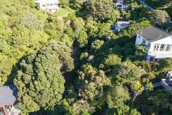 113A and 1 Grafton Road, Roseneath