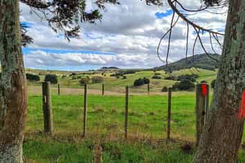 Northland - Address withheld