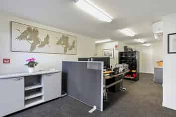 Leased Investment or Owner Occupy with Income