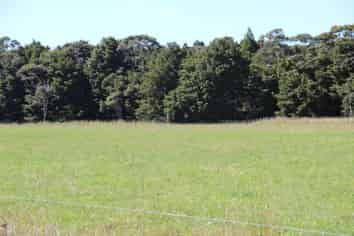 LAST ONE LEFT! WARKWORTH SUBDIVISION