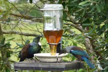 169 Eden Street, Oamaru