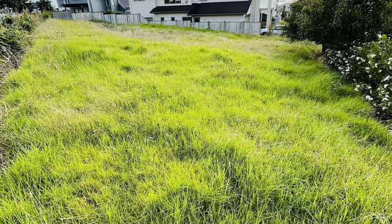 41 Caldera Drive, Long Bay