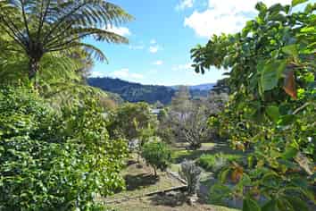 84 Kamahi Street, Stokes Valley