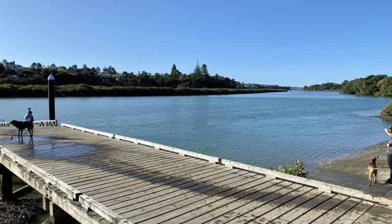 104 Matipo Road, Te Atatu Peninsula