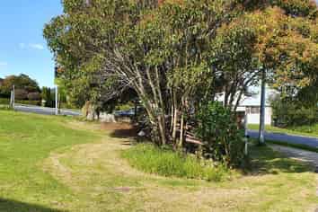 20 William Roberts Road, Pakuranga