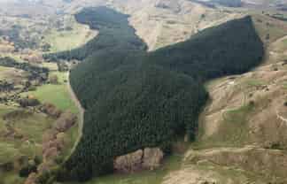  Mangatipona Road, Fordell