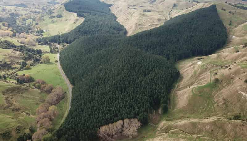  Mangatipona Road, Fordell