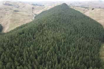  Mangatipona Road, Fordell