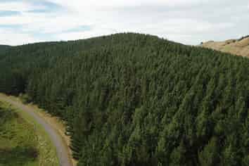  Mangatipona Road, Fordell