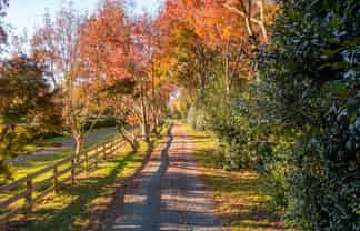 107 Windmill Road, Tamahere
