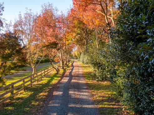 107 Windmill Road, Tamahere
