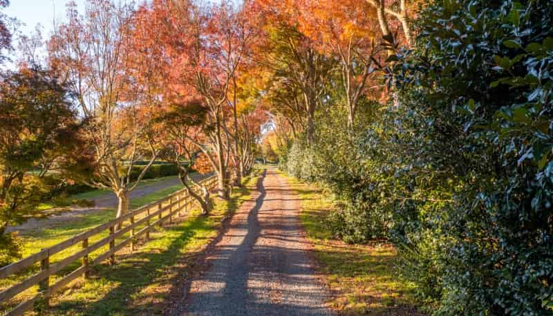107 Windmill Road, Tamahere