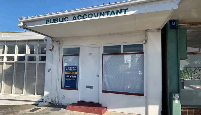 113 Oakdale Road, Mount Roskill