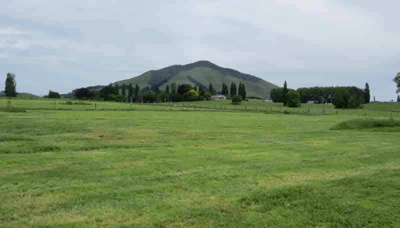 Lot 4 Pokuru Factory Road, Te Awamutu