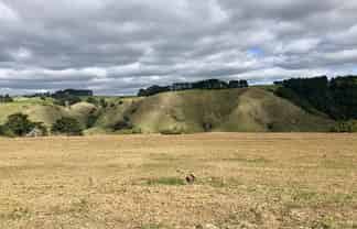 Auckland - Address withheld