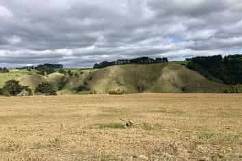 Auckland - Address withheld